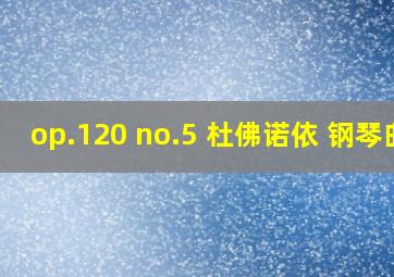 op.120 no.5 杜佛诺依 钢琴曲